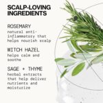 Pacifica Scalp Love Rosemary Mint Serum - Dry, Flaky, and Itchy Scalp Serum, Hydrating, Moisturizing, and Calming Treatment Formulated with Witch Hazel, Vegan and Cruelty-Free - 2 Fl Oz - Image 6
