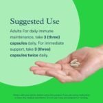 Youtheory Immune+ Daily Wellness - Vegetarian Immune Support Supplement with Vitamin C, Vitamin D3 & Zinc* - Mushroom Supplement with Turkey Tail, Cordyceps & Reishi - 60 Vegetarian Caps - Image 4