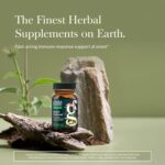 Gaia Herbs Quick Defense - Fast-Acting Immune Support Supplement* - Echinacea, Black Elderberry, Ginger & Andrographis - 20 Vegan Liquid Phyto-Caps (10 Servings) - Image 3