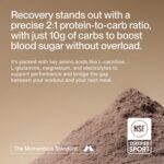 Momentous Recovery Grass-Fed Whey Protein Powder - 20 g Post-Workout Whey Isolate Protein - NSF Certified for Sport - Gluten-Free - 15 Servings - Chocolate - Package May Vary - Image 4