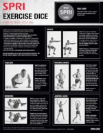 SPRI Exercise Dice (6-Sided) - Game for Group Fitness & Exercise Classes - Includes Push Ups, Squats, Lunges, Jumping Jacks, Crunches & Wildcard (Includes Carrying Bag) - Image 4