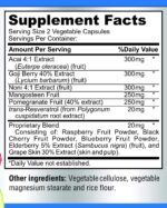 Super Antioxidant Fruit Superfood Complex - Powerful Antioxidant Superfruits, Acai, Goji, Noni, Mangosteen, Pomegranate, Elderberry, Resveratrol, Immune Support, Skin Care - 60 Capsules - Image 5