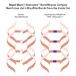 Marc Anthony Bond Repair Leave In Hair Conditioner Treatment for Dry & Damaged Hair, Repair Bond - Treatment & Deep Conditioning Moisturizer Reduces Breakage & Flyaways - Fights & Reduces Frizz - Image 4