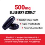 Force Factor Blueberry Concentrate Antioxidants Supplement with BlueRich Blueberry Extract Supplement, Free Radical Scavenger for Daily Health, Gluten Free, Non-GMO, 90 Softgels - Image 3