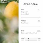 2-in-1 Korean Hair Perfume Oil & Serum with Morrocan Argan Oil & 12 Amino Acids for Dry, Damaged, Glass Hair Shine & Frizz-Control – Paraben & Alcohol-Free – Citrus Floral – 100ml / 3.38 fl oz - Image 4