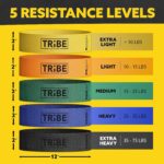 Tribe Lifting Fabric Resistance Bands for Glutes & Legs | 5 Fabric Workout Bands Set | Thick Booty Bands for Squats, Lunges, Hip Training, Physical Therapy & Home Workouts - Image 3