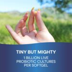 Probiotic Pearls Acidophilus Once Daily Probiotic Supplement, 1 Billion Live Cultures, Survives Stomach Acid, No Refrigeration, 90 Softgels (Packaging May Vary) - Image 4