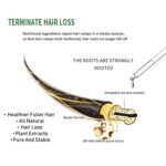 Hair Care Essential Oil Set - Hair Growth Shampoo & Hair Growth Essence Oil Containing Ginger Extract，Anti-Hair Loss Conditioner，Deep Nourish Repair ，Anti-Hair Loss & Anti-Frizz - Image 5