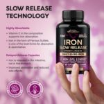 Iron Supplement for Women - Iron 65mg (Ferrous Sulfate 325mg) - Stomach Friendly | Slow Release Iron | High Absorption - Vitamins C, D3, B6, B12 & Folate - Iron Level & Energy Support - 60 Capsules - Image 4