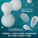 OGX Renewing + Argan Oil of Morocco Shampoo & Conditioner Set, Helps Strengthen & Repair Dry, Damaged Hair, Paraben-Free, Sulfate-Free Surfactants, 25.4 fl. Oz (Pack of 2) - Image 4