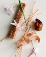 Maison Louis Marie - No.04 Bois de Balincourt Natural Body Oil | Luxury Clean Beauty + Non-Toxic Fragrance (4 fl oz | 118 ml) - Image 3