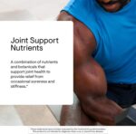 THORNE - Joint Support Nutrients - Glucosamine and MSM with Curcumin, Bromelain, and Boswellia for Joint Support* - 240 Capsules - Image 4