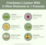 Quantum Health Super Lysine+ / Advanced Formula Lysine+ Immune Support with Vitamin C, Echinacea, Licorice, Propolis, Odorless Garlic (90 Tablets) - Image 5