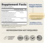 BioSchwartz Daily Probiotic Nutritional Supplement - 40 Billion CFU for Gut Health - Probiotics for Men and Women - Digestive Health with Astragalus & Lactobacillus - Shelf Stable - 60 Count - Image 4