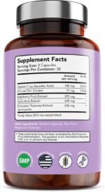 Vitamin Bounty Elderberry Immune Support - with Zinc, Vitamin C & Echinacea, Advanced 5-in-1 Blend, Powerful Antioxidant, Supports Whole Body Balance, Non-GMO - 60 Capsules, 2 Pack - Image 4