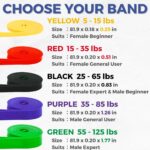 LEZER Resistance Bands - Pull Up Bands for Home Gym Fitness, Stretching, Physical Therapy & Training - Includes Instruction - Image 3