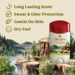 Old Spice Dry Feel Antiperspirant Deodorant for Men, 24/7 Freshness, 24/7 Sweat & Odor Protection, Gentle on Skin with Skin Conditioners, Timber with Sandalwood + Cypress Scent, 2.6 oz - Image 3