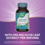 Nature's Way Olive Leaf, Premium Extract, Supports Heart Health*, 20% Oleuropein, 250 mg per serving, Non-GMO Project Verified, 60 Vegan Capsules (Packaging May Vary) - Image 4