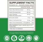 Zinc Quercetin Vitamin C D3 Liquid Immune Support with Organic Echinacea Elderberry, Immune Defense Drops Supplement for Adults- Vegan, Non-GMO, Gluten Free - 1 Fl Oz - Image 3