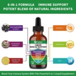 Zinc Quercetin Vitamin C D3 Liquid Immune Support with Organic Echinacea Elderberry, Immune Defense Drops Supplement for Adults- Vegan, Non-GMO, Gluten Free - 1 Fl Oz - Image 4