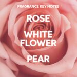 WELLA PROFESSIONALS Fusion Intense Repair Hair Mask for Damaged Hair, Treatment for Hair Repair & Hair Breakage - Image 6