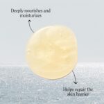 California Naturals Body Wash for Women and Men, Vitamin E Shower Gel Cleanser, Natural, Vegan & Cruelty Free, Paraben & Sulfate Free, Moisturizing Skin, Coconut, All Skin Types, 16.5 fl oz - Image 4