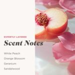 Caress Body Wash for Women, Daily Silk White Peach & Orange Blossom, Shower Gel Body Wash Moisturizing for Noticeably Silky, Soft Skin, 20 fl oz, 4 Pack - Image 4