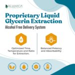 MunoMax - Advanced Immune Support Supplement - Liquid Delivery for Better Absorption - Echinacea, Astragalus, Reishi, Goldenseal, Elderberry & More! - Image 4