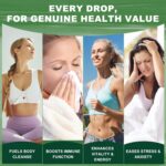 Organic Soursop Bitters Liquid – Herbal Infusion with Black Seed, Ashwagandha, Moringa & Maca Root – Pure Botanical Flavor Profile – Unsweetened, Original Taste (2 Fl Oz) - Image 4