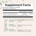 Pure Vitamin C 2,000mg, 240 Veggie Capsules | Highly Bioavailable Fat & Water Soluble Forms | Max Potency | Antioxidant & Immune Support Supplement | Easily Absorbed, Non-GMO, Filler Free - Image 3