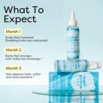 Hair Growth Oil & Scalp Oil - Lightweight & Non-Greasy Rosemary Oil for Hair Growth, Thinning Hair & Density Support Blended with Castor Oil, Biotin & Turmeric for Men & Women 3.38 fl oz - Image 3