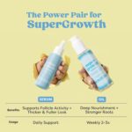 Hair Growth Oil & Scalp Oil - Lightweight & Non-Greasy Rosemary Oil for Hair Growth, Thinning Hair & Density Support Blended with Castor Oil, Biotin & Turmeric for Men & Women 3.38 fl oz - Image 7