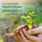 Vital Earth Minerals Super Multi – Liquid Multivitamins for Women, Men & Kids, Liquid Vitamins with Fulvic Acid for Better Absorption, MTHFR Support, 32 Oz + 1 Oz Cup - Image 4