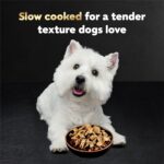 Cesar Filets in Gravy Wet Dog Food Filet Mignon Flavor and Rotisserie Chicken Flavor Variety Pack, Wet Food for Dogs, 1.76 oz. Mini-Pouches, 20 Count (Pack of 2) - Image 4