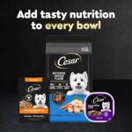 Cesar Filets in Gravy Wet Dog Food Filet Mignon Flavor and Rotisserie Chicken Flavor Variety Pack, Wet Food for Dogs, 1.76 oz. Mini-Pouches, 20 Count (Pack of 2) - Image 6
