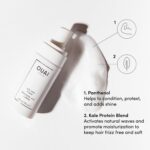OUAI Air Dry Foam - Hair Mousse for Curly Hair & Beach Waves - Conditioning & Detangling With Kale and Carrot Extract - Paraben, Phthalate and Sulfate Free (4 Oz) - Image 4