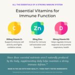 Immune Support Supplement with Vitamin C and Zinc, Sambucus Elderberry, Vitamin D3, Glutathione, Echinacea Capsules - Natural Immune Booster Herbal Supplements - Vegan, Gluten-Free (60ct) - Image 4