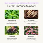 Immune Support Supplement with Vitamin C and Zinc, Sambucus Elderberry, Vitamin D3, Glutathione, Echinacea Capsules - Natural Immune Booster Herbal Supplements - Vegan, Gluten-Free (60ct) - Image 5