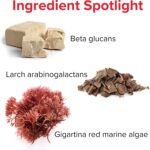 Vibrant Health, Immune Defense, Natural Immune and Digestive Support, 60 Capsules - Image 4