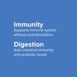 Vibrant Health, Immune Defense, Natural Immune and Digestive Support, 60 Capsules - Image 7