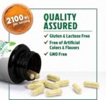 Glucosamine Chondroitin MSM - 3x Strength Joint Support Supplement for Joint Mobility & Comfort For Men and Women, Glucosamine Supplements Complex with Turmeric & Boswellia - 240 Capsules - Image 7