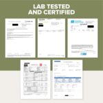 Elderberry with Vitamin C, Zinc, & Ginger – Potent Immune Booster 5000 Mg Elderberry, Zinc, & Vitamin C – Non-GMO Immunity Vitamins for Adults to Help You Feel Vibrant, 60 Caps. - Image 8