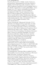 wet n wild Edit Eye Makeup Set, Smoke Signals, Lash Renegade Mascara, Megalast Eyeliner, Black Multi Stick - Image 4