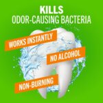 TheraBreath Fresh Breath Mouthwash, Mild Mint Flavor, Alcohol-Free, 16 Fl Oz (2-Pack) - Image 3