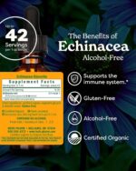 Herb Pharm Organic Echinacea Root Extract, Alcohol-Free: Immune System Support for All Seasons, Fast-Acting Echinacea Plant Supplement, Non-GMO, Vegan & Gluten-Free, 1 Oz - Image 3