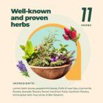 Immunity Booster Decaffeinated Tea Bags, Pure Herbal Immunity Blend - Lemon Balm, Peppermint, Chamomile, Lavender. Immune Support Supplement - 60 Bags by Aprika Life - Image 4