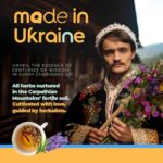 Immunity Booster Decaffeinated Tea Bags, Pure Herbal Immunity Blend - Lemon Balm, Peppermint, Chamomile, Lavender. Immune Support Supplement - 60 Bags by Aprika Life - Image 8