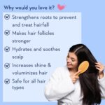 WishCare Multi Peptide Anti Hairfall Conditioner - For Women & Men -Hair Conditioner for Frizzy Hair- Rice Water, Rosemary, Capilia Longa, Hyaluronic Acid & Caffeine 200ml - Image 4