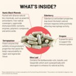 Mountain Peak Nutritionals Immuni-V - Immune System & Whole Body Support Supplement - Natural Antioxidant Booster with Humic Acid, Olive Extract, & Elderberry (60 Vegetarian Capsules) - Image 5