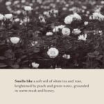 A LA MAISON Epsom Salt Bath Soak – White Tea & Rose – Muscle Relief Bath Soak with Magnesium – Relaxing Bath Salt – 20 oz – Amber Collection - Image 5